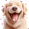 Perro Amoroso🐶💞1🇵🇪Movi 9