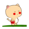 Lovely Cat 💖🐱 Mov 16