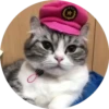 gatitos 2 mov 11