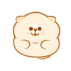 Gatinhos fofos Animadinhos 6