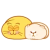 Gatinhos fofos Animadinhos 7