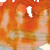 pepe v3 14