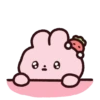 Strawberry rabbit 1 (Mov) 15