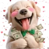 Perro Amoroso🐶💞1🇵🇪Movi 11