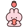 Strawberry rabbit 2 (Mov) 25