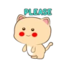 Lovely Cat 💖🐱 Mov 18