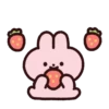 Strawberry rabbit 1 (Mov) 17