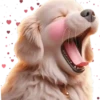 Perro Amoroso🐶💞1🇵🇪Movi 13