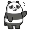 Panda 🐼 Mov 19
