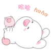 Bunny 🐰 2 Moví 🇲🇽 19