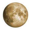 RIO Mid Autumn Festival 7