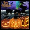 👻ԋAρρy ԋAʅʅσɯҽɳ #1🎃 23