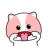 Pink Cat 🌸🐱 Mov 16