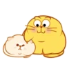 Gatinhos fofos Animadinhos 8