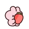 Strawberry rabbit 2 (Mov) 27