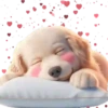 Perro Amoroso🐶💞1🇵🇪Movi 17
