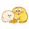 Gatinhos fofos Animadinhos 9