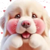 Perro Amoroso🐶💞1🇵🇪Movi 18