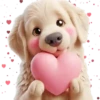 Perro Amoroso🐶💞1🇵🇪Movi 19