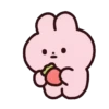Strawberry rabbit 1 (Mov) 22