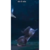 Patos Movie 9