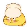 Gatinhos fofos Animadinhos 10