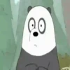 Panda 🐼 Mov 22