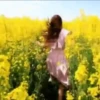 Дарите желтые цветы 19