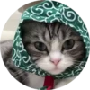 gatitos 2 mov 18