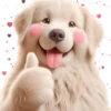 Perro Amoroso🐶💞1🇵🇪Movi 22