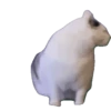 Meow Mood v3 5