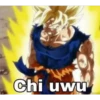 Goku chipeado 28