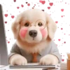 Perro Amoroso🐶💞1🇵🇪Movi 25
