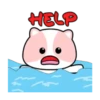 Pink Cat 🌸🐱 Mov 21