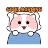 Pink Cat 🌸🐱 Mov 22