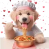 Perro Amoroso🐶💞1🇵🇪Movi 27