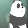 Panda 🐼 Mov 24