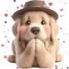 Perro Amoroso🐶💞1🇵🇪Movi 28