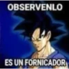 Goku chipeado 30