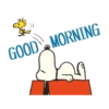 PEANUTS 27