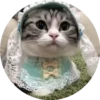 gatitos 2 mov 20