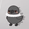 Sylus - Grumpy Crow 11