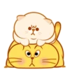 Gatinhos fofos Animadinhos 11