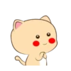 Lovely Cat 💖🐱 Mov 24
