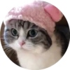gatitos 2 mov 24