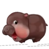 MooDoong Hippo 🦛 MOV 5
