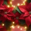 Abc Navideño🎄💞3🇵🇪Movi 6