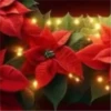 Abc Navideño🎄💞3🇵🇪Movi 8
