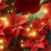 Abc Navideño🎄💞3🇵🇪Movi 10