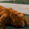 garfield mov 5